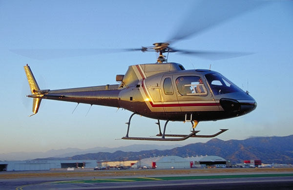 as350ba ecureuil squirrel